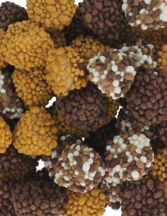 256 3X CHOCO KŘUPAVÉ ASTEROIDY 750g