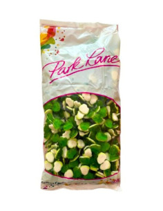 306  PARK LANE ŽABKY 2500g